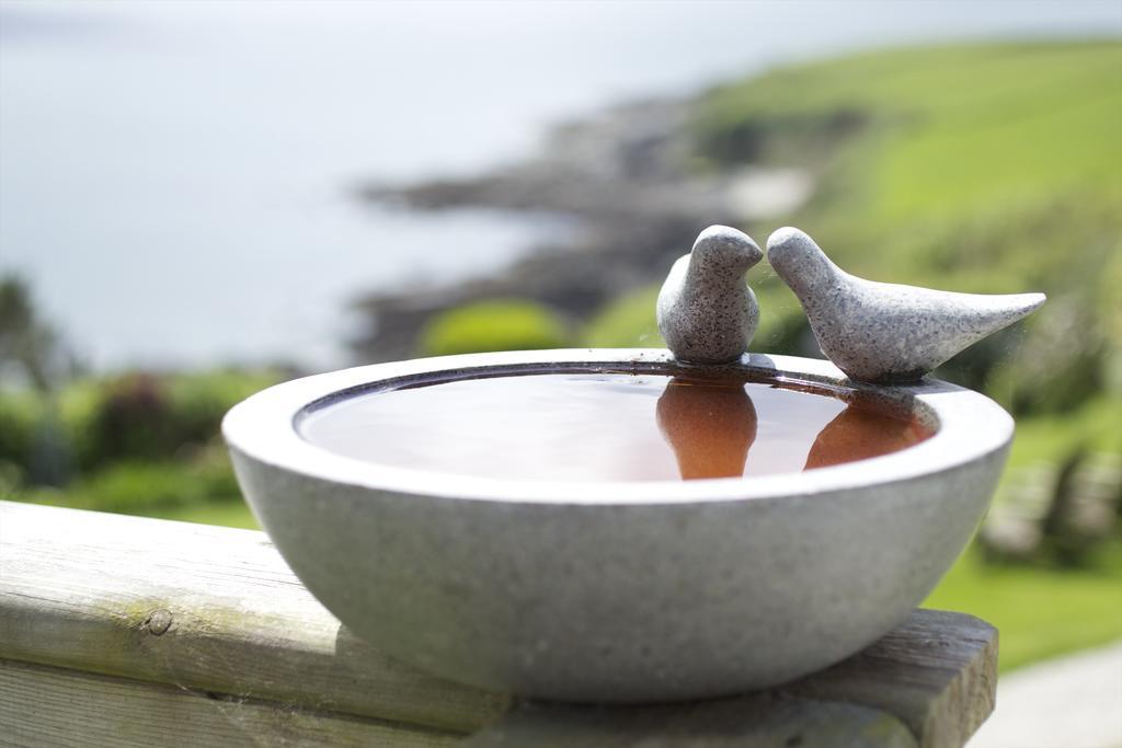 Driftwood Hotel Porthscatho Luaran gambar